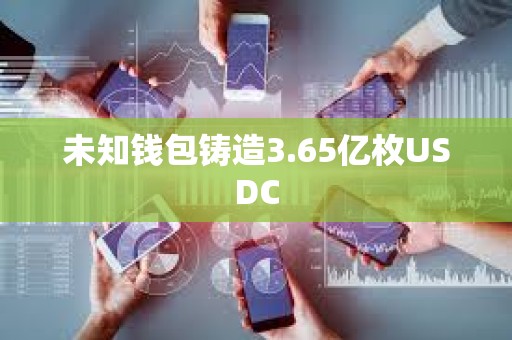 未知钱包铸造3.65亿枚USDC