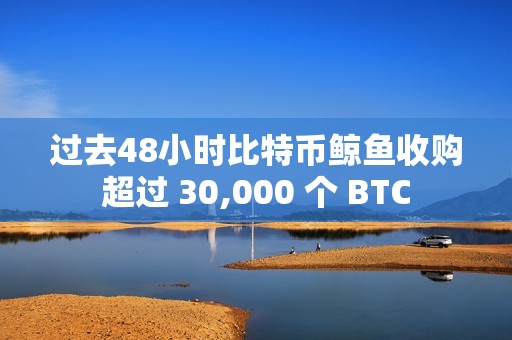 过去48小时比特币鲸鱼收购超过 30,000 个 BTC
