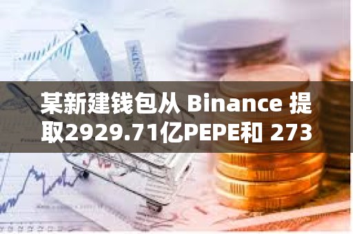 某新建钱包从 Binance 提取2929.71亿PEPE和 273,267枚WLD