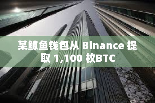 某鲸鱼钱包从 Binance 提取 1,100 枚BTC