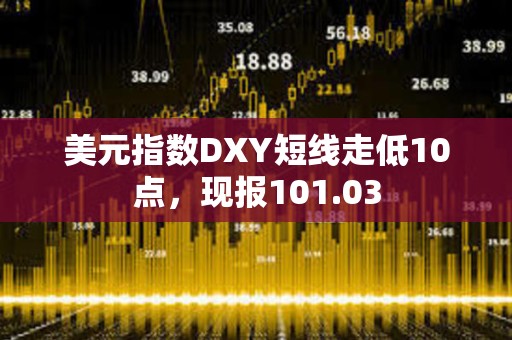 美元指数DXY短线走低10点，现报101.03