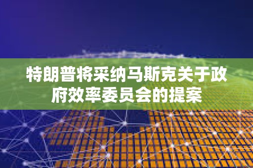 特朗普将采纳马斯克关于政府效率委员会的提案
