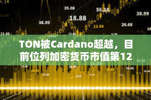 TON被Cardano超越，目前位列加密货币市值第12
