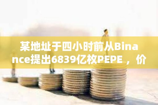 某地址于四小时前从Binance提出6839亿枚PEPE ，价值495万美元