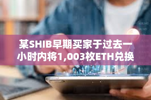 某SHIB早期买家于过去一小时内将1,003枚ETH兑换为28.6亿枚NEIRO