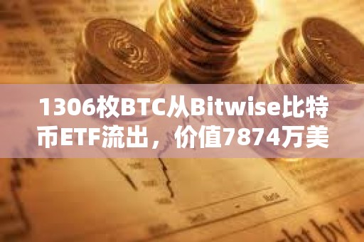 1306枚BTC从Bitwise比特币ETF流出，价值7874万美元