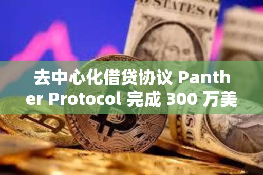 去中心化借贷协议 Panther Protocol 完成 300 万美元种子轮融资