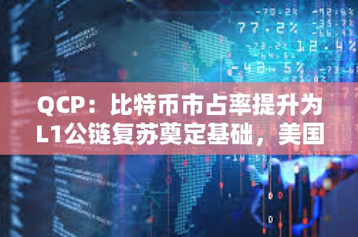 QCP:比特币市占率提升为L1公链复苏奠定基础,美国大选促使风险偏好情绪进一步增强 QCP:比特币市占率提升为L1公链复苏奠定基础,美国大选促使风险偏好情绪进一步增强
