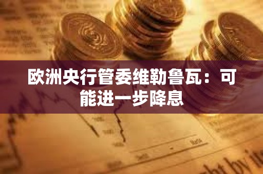 欧洲央行管委维勒鲁瓦：可能进一步降息