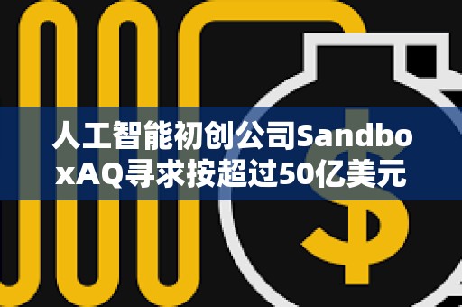 人工智能初创公司SandboxAQ寻求按超过50亿美元估值进行融资