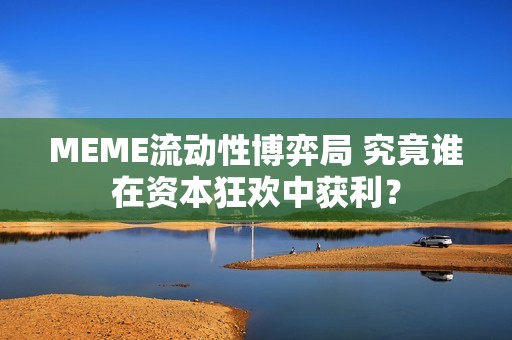 MEME流动性博弈局 究竟谁在资本狂欢中获利？