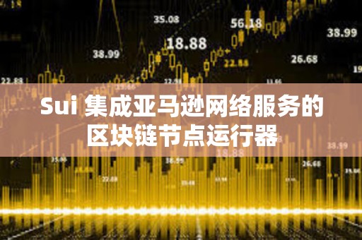Sui 集成亚马逊网络服务的区块链节点运行器