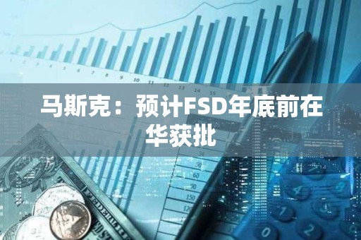 马斯克：预计FSD年底前在华获批