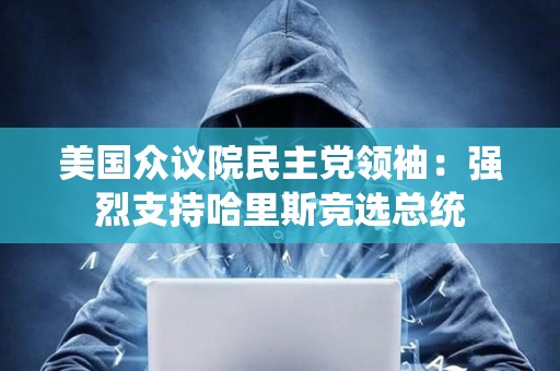 美国众议院民主党领袖：强烈支持哈里斯竞选总统