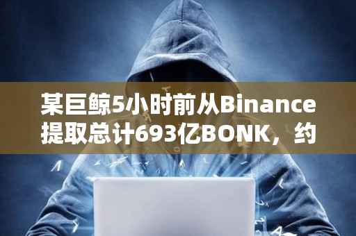 某巨鲸5小时前从Binance提取总计693亿BONK，约合370万美元