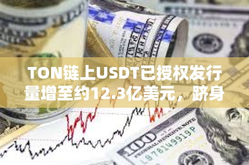TON链上USDT已授权发行量增至约12.3亿美元，跻身前五