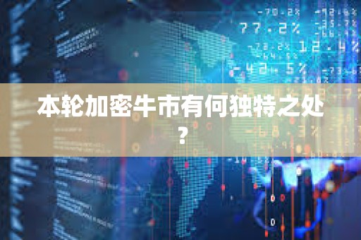 本轮加密牛市有何独特之处？