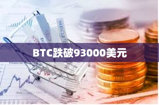 BTC跌破93000美元