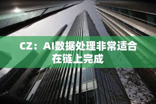 CZ：AI数据处理非常适合在链上完成