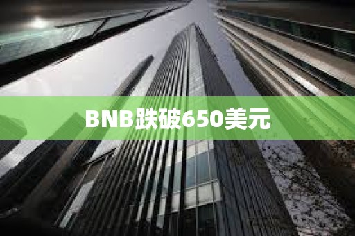BNB跌破650美元