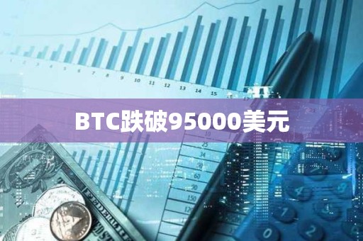 BTC跌破95000美元