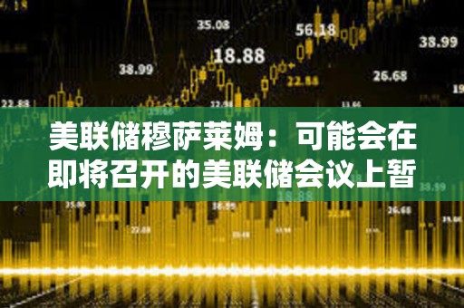 美联储穆萨莱姆：可能会在即将召开的美联储会议上暂停降息