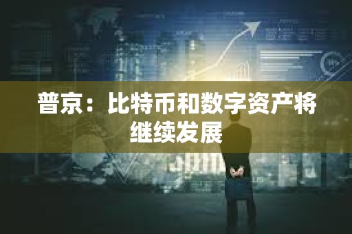 普京：比特币和数字资产将继续发展