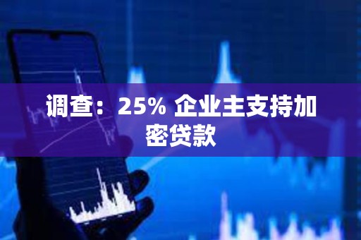 调查:25% 企业主支持加密贷款 调查:25% 企业主支持加密贷款