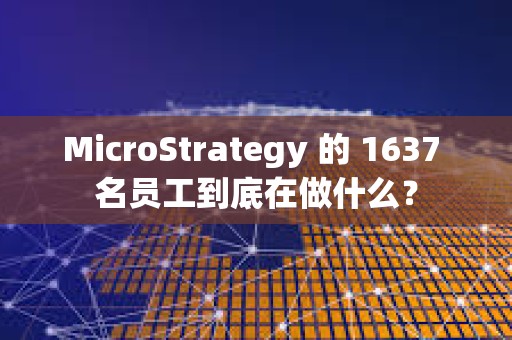 MicroStrategy 的 1637 名员工到底在做什么？