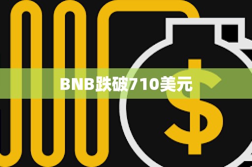 BNB跌破710美元