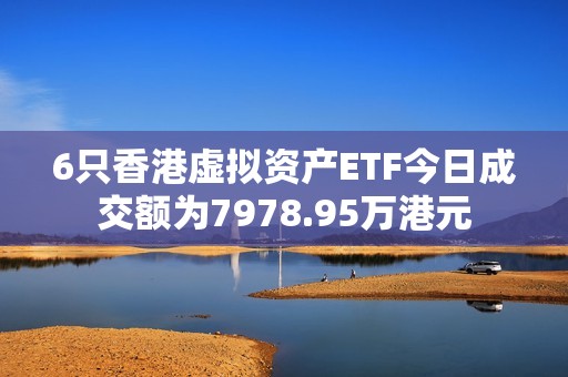 6只香港虚拟资产ETF今日成交额为7978.95万港元