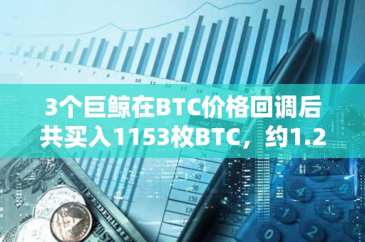 3个巨鲸在BTC价格回调后共买入1153枚BTC，约1.2亿美元