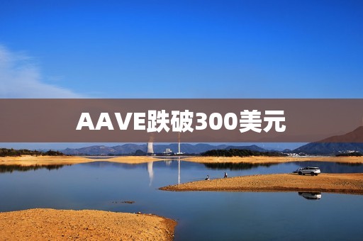 AAVE跌破300美元