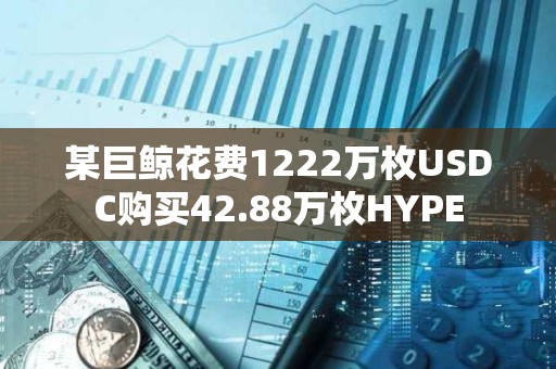 某巨鲸花费1222万枚USDC购买42.88万枚HYPE