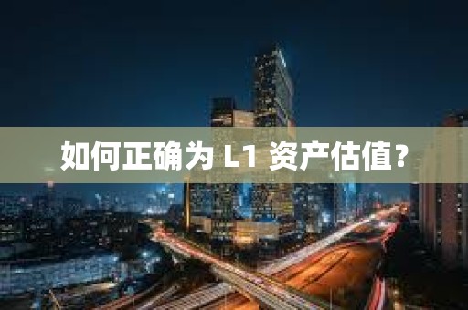 如何正确为 L1 资产估值？