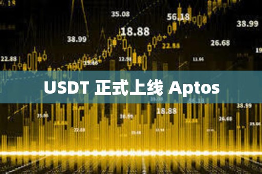 USDT 正式上线 Aptos