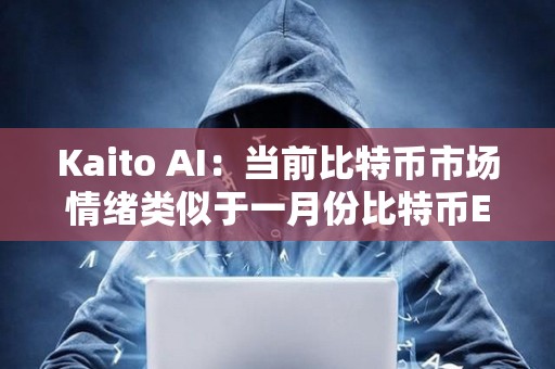 Kaito AI：当前比特币市场情绪类似于一月份比特币ETF批准时