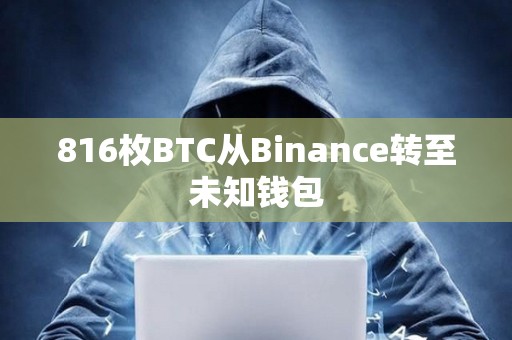 816枚BTC从Binance转至未知钱包