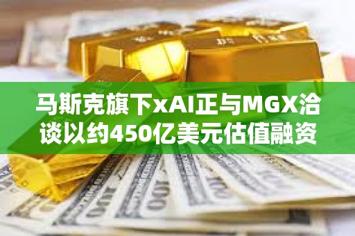 马斯克旗下xAI正与MGX洽谈以约450亿美元估值融资50亿美元