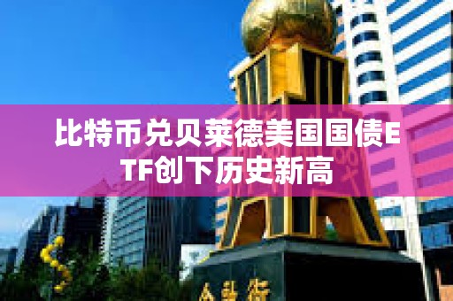 比特币兑贝莱德美国国债ETF创下历史新高 比特币兑贝莱德美国国债ETF创下历史新高