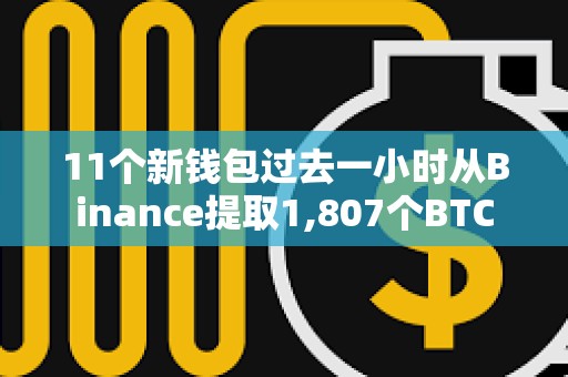 11个新钱包过去一小时从Binance提取1,807个BTC
