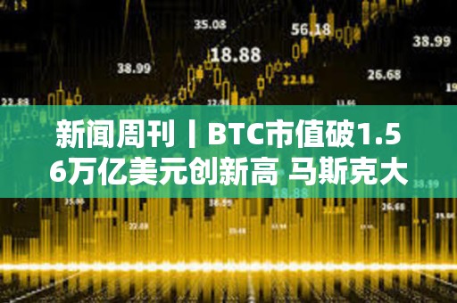 新闻周刊丨BTC市值破1.56万亿美元创新高 马斯克大选捐款回报率已超150倍