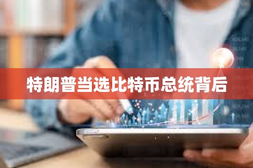 特朗普当选比特币总统背后