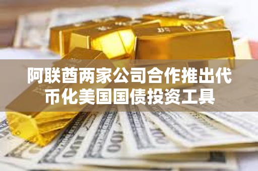 阿联酋两家公司合作推出代币化美国国债投资工具