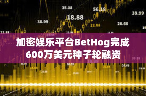加密娱乐平台BetHog完成600万美元种子轮融资