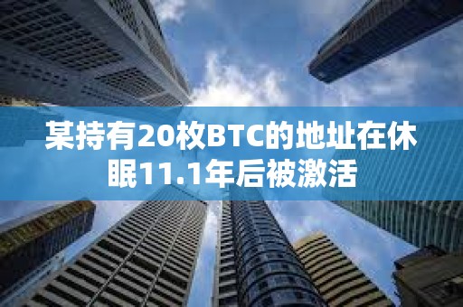 某持有20枚BTC的地址在休眠11.1年后被激活