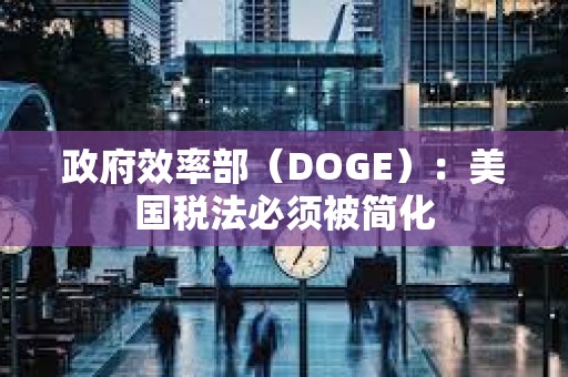 政府效率部（DOGE）：美国税法必须被简化