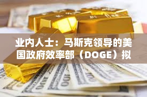 业内人士：马斯克领导的美国政府效率部（DOGE）拟探索建设区块链选举系统“eVote”