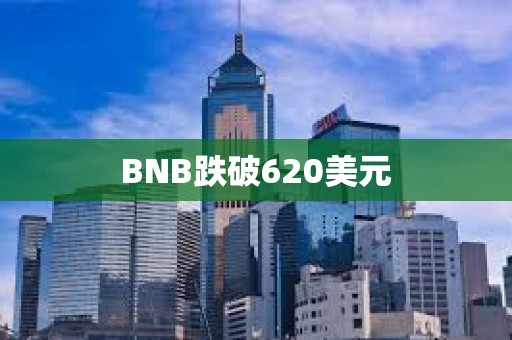 BNB跌破620美元