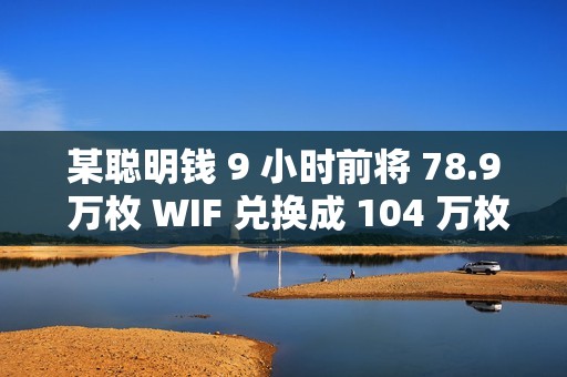 某聪明钱 9 小时前将 78.9 万枚 WIF 兑换成 104 万枚 FARTCOIN